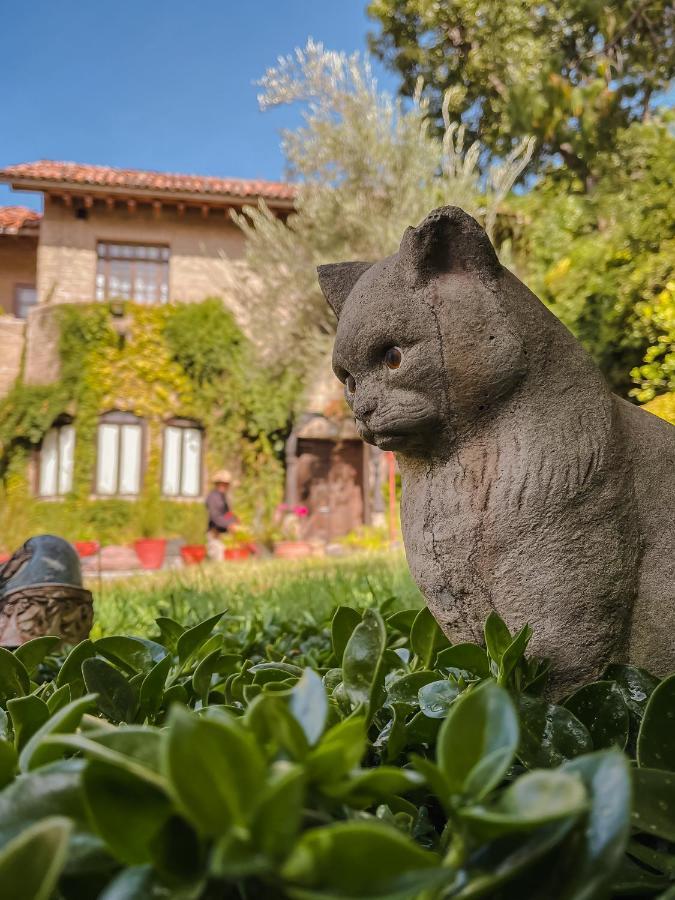 Casa Liza Bed & Breakfast San Miguel de Allende Luaran gambar